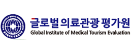 글로벌의료관광평가원